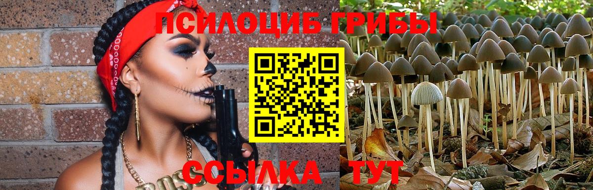 Галлюциногенные грибы мицелий Находка