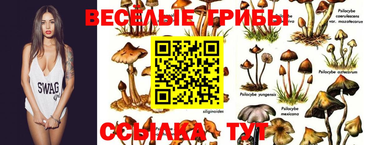 Находка  Галлюциногенные грибы мухоморы  хочу наркоту  Вход с VPN  Псилоцибиновые грибы мухоморы 
