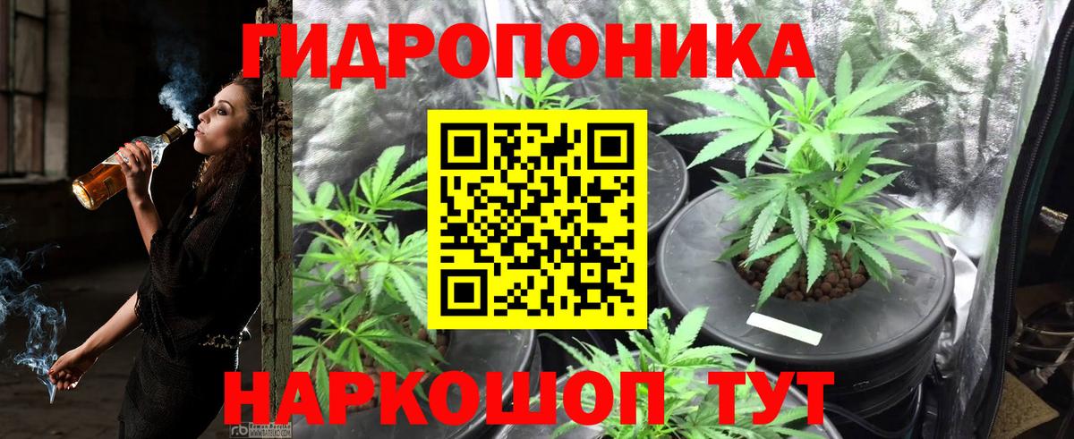 Бошки Шишки THC 21% Находка
